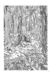  comic doujinshi forest greyscale hat highres monochrome moriya_suwako nature sakana_(ryuusui-tei) scan stone touhou tree yotsubato! 