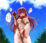  blush breasts dragon_quest dragon_quest_ii fechirin hat large_breasts long_hair looking_at_viewer nipples open_mouth princess_of_moonbrook purple_hair see-through solo staff 