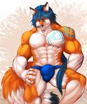  abs alty anthro biceps big_muscles black_fur black_nose blue_fur blue_hair bulge canine fox fur grin hair istani looking_at_viewer male mammal muscles nipples orange_fur pecs pinup pose sitting smile solo speedo swimsuit tattoo toned topless white_fur yellow_eyes 