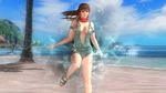  1girl beach breasts dead_or_alive dead_or_alive_5 large_breasts ocean official_art overalls phase-4 solo tecmo 