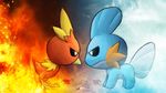  ambiguous_gender avian beak black_eyes claws duo feathers feral fins fire gamefreak marine mudkip nintendo pok&#233;mon pok&eacute;mon scales torchic vibrantechoes video_games water 