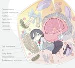  biology black_hair black_legwear breasts cell_(biology) english grey_eyes kneehighs large_breasts loafers long_hair looking_at_viewer mitochondria original pleated_skirt sakurai_energy school_uniform science shoes skirt solo typo vest 