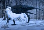  aurin avian black_feathers blue_eyes claws counterclockwize feathers footprints forest fur gryphon hybrid snow snowfall snowing tree white_fur wings 