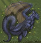  dragon erection eyes_closed genital_slit grass how_to_train_your_dragon lying male night_fury on_side outside penis redraptor16 scalie sleeping slit solo toothless wings 