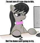  annoyed black_hair bow_tie earth_pony english_text equine female feral friendship_is_magic fur grey_fur hair horse long_hair mammal meme my_little_pony octavia_(mlp) pony purple_eyes reaction_image solo text unknown_artist 