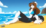  abs anthro beach bikini border_collie breasts brown_eyes brown_hair canine dog female hair lionalliance looking_at_viewer mammal pose reclining relaxing sea seaside sitting smile solo swimsuit text water 