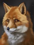  ambiguous_gender black_nose canine feral fox mammal orange_eyes rotarr slit_pupils solo 
