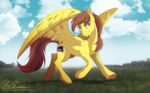 beard blue_eyes brown_hair cloud cutie_mark dennybutt equine facial_hair feral friendship_is_magic fur hair horse male mammal my_little_pony nintendo original_character outside pegasus pony rory_kenneigh solo spread_wings video_games wings yellow_fur 