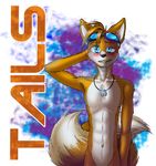  bigger_version_at_the_source blue_eyes blush canine cute dog_tags fox lord-kiyo mammal miles_prower nude sega solo sonic_(series) 