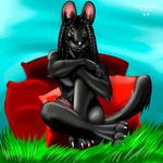  anthro black_eyes black_fur black_hair blue_background feline feral fur grass hair male mammal meadow nude outside penis pillow pink_penis plain_background serval signature sitting skyeylion_(artist) solo tagmeears whiskers white_claws yellow_sclera 