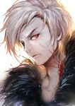  absurdres bad_id bad_pixiv_id dark_knight_(dungeon_and_fighter) dungeon_and_fighter face grey_hair highres male_focus red_eyes sola7764 solo 