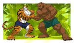  5_toes abs anthro arm_wrestling bear biceps big_muscles black_fur black_nose body_markings brown_fur bulge claws clenched_teeth clothing duo eyes_closed fangs feline fur grin grizzly_bear male mammal markings mike_the_tiger muscles nipples paws pecs plain_background pose shorts smile standing stripes struggling sweat teeth tiger toe_claws toes toned topless vein wfa white_fur 