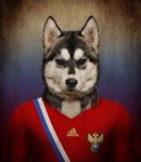  2014 anthro canine dog football husky male mammal russia russian siberian_husky solo 