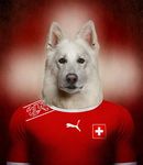  2014 anthro canine dog football male mammal shepherd solo swiss switzerland white_shepherd 