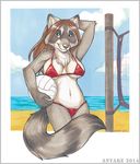  anyare beach breasts female hair mammal raccoon seaside solo summer 