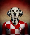  2014 anthro canine croatia croatian dalmatian dog football male mammal solo 