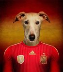  2014 anthro canine dog football galgo greyhound male mammal solo spain spanish spanish_greyhound 