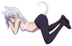  animal_ears ass blue_eyes blush bra cat_ears cat_tail highres kanase_kanon looking_at_viewer mokke_(mokke99) open_mouth panties panties_under_pantyhose pantyhose short_hair silver_hair solo strike_the_blood tail underwear 