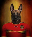  2014 anthro belgian belgian_shepard belgium canine dog football male mammal shepherd solo 