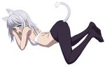  animal_ears ass blue_eyes blush bra cat_ears cat_tail highres kanase_kanon looking_at_viewer mokke_(mokke99) no_panties open_mouth pantyhose short_hair silver_hair solo strike_the_blood tail underwear 