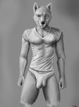  anthro biceps black_and_white bulge canine clothing dog greyscale husky looking_at_viewer male mammal monochrome motaro_(artist) muscles pecs penis shirt solo tight_clothing toned underwear vpl 