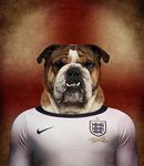  2014 anthro bulldog canine dog england football great_britain male mammal solo 