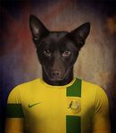  2014 anthro australia australian_kelpie canine dog football male mammal solo 