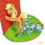  absurd_res anus applejack_(mlp) blonde_hair blue_fur butt cutie_mark duo earth_pony equine feces female feral freckles friendship_is_magic fur green_eyes hair hi_res horse lesbian lying mammal multi-colored_hair my_little_pony on_back open_mouth orange_fur outside pegasus pony purple_eyes rainbow_dash_(mlp) rainbow_hair rainbow_tail scat shdingo wings 