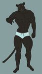  5_fingers 5_toes abs anthro barefoot biceps big_muscles black_fur bodybuilder bulge clothing feline fur human_feet lionsilverwolf looking_at_viewer male mammal muscles nipples panther pecs plain_background plantigrade smile solo standing toes toned topless underwear yellow_eyes 
