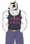 anthro bandage belt biceps big_muscles black_hair black_nose blood bull_terrier canine chain_collar clothing collar dog dog_tags ear_piercing flat_color fur green_eyes hair hands_in_pockets jeans male mammal muscles noiz pants pecs piercing plain_background pose scar shirt solo standing tank_top toned transparent_background white_fur 