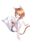  ;p animal_ears aqua_eyes arm_support between_thighs cat cat_ears cat_tail from_behind kyon_(fuuran) leaning_back looking_back midriff necktie one_eye_closed orange_hair original short_shorts shorts simple_background sitting solo tail thighhighs tongue tongue_out white_background white_legwear 