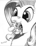  body_in_mouth cutie_mark duo equine eyelashes eyes_closed female feral fluttershy_(mlp) friendship_is_magic greyscale hair horse lesbian lying macro mammal micro monochrome my_little_pony on_front open_mouth original_character pegasus pony ponythroat size_difference tongue tongue_out vore wings 