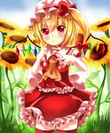  absurdres ascot bell bell_choker blush bow choker field flandre_scarlet flower flower_field hair_bow hat hat_bow highres looking_at_viewer mob_cap nayutaro puffy_sleeves red_eyes red_legwear rinne_(kouheiramia) shirt side_ponytail skirt solo sunflower thighhighs touhou vest wings zettai_ryouiki 