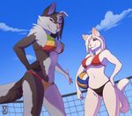  beach bikini breasts canine cat clothed clothing dog feline female fur hair_over_eye looking_at_viewer low-angle_shot mammal multicolor_fur ocho seaside skimpy smile swimsuit two_tone_fur volleyball whiskers white_fur winter_night 