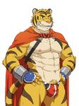  biceps body_markings build_tiger build_tiger_(character) bulge cape fangs feline fur gamma-g grin male mammal markings muscles nipples pecs pose pubes smile solo standing stripes teeth tiger whiskers 