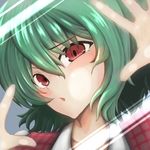  against_fourth_wall against_glass bad_id bad_pixiv_id blush_stickers commentary_request dress fourth_wall green_(midoriryuu) green_hair kazami_yuuka open_mouth outstretched_hand plaid plaid_dress red_eyes short_hair solo_focus touhou 