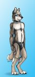  canine chasington collar looking_away male mammal muscles plain_background scantily_clad solo standing underwear wristband 