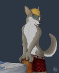  blonde_hair blue_eyes boxer_briefs canine chasington ear_piercing hair looking_at_viewer male mammal open_mouth piercing scantily_clad solo underwear 