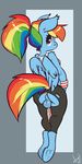  animal_genitalia anthro anthrofied anus atryl balls blue_fur butt clothed clothing dickgirl equine friendship_is_magic fur hair hi_res horsecock intersex looking_back mammal multi-colored_hair my_little_pony pegasus penis pink_eyes ponytail rainbow_dash_(mlp) rainbow_hair rainbow_tail skimpy solo torn_clothing underhoof wings yoga_pants 