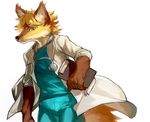  coat dedran doctor fox fur male mammal notepad orange_eyes orange_fur plain_background solo stethoscope teeth walking white_background 