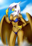  abs anthro anthrofied avian bikini blumagpie breasts claws cleavage clothed clothing equine female friendship_is_magic gilda_(mlp) gryphon looking_at_viewer mammal my_little_pony navel outside sky solo swimsuit tattoo wings yellow_eyes 