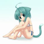  ahoge animal_ears barefoot bikini cat_ears cat_tail green_eyes green_hair kurumi_(ueno_musashi) original short_hair side-tie_bikini sitting solo swimsuit tail ueno_musashi 