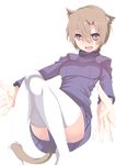  animal_ears brown_hair cat_ears fangs johnny_funamushi original panties pantyshot purple_eyes short_hair solo thighhighs underwear white_panties 