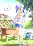  :t alternate_hairstyle angora_rabbit animal bangs bare_legs bare_shoulders blue_eyes blush bow building bunny character_name chemise collarbone day emerane feet fence flying_sweatdrops full_body gochuumon_wa_usagi_desu_ka? grass holding hose hose_nozzle house kafuu_chino long_hair looking_at_another nail_polish no_bra no_socks o_o outdoors pigeon-toed pink_nails plant ponytail potted_plant purple_hair sandals scrunchie shadow shirt shoe_bow shoes short_shorts shorts sidelocks silver_hair sky spaghetti_strap standing strap_slip sunlight tiles tippy_(gochiusa) toenail_polish tomato tree v-shaped_eyebrows wet wooden_fence 