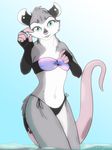  chested cute female flat flat_chested invalid_tag laine lycheepuddn mammal marsupial opossum solo swim swimsuit water 