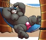  5_toes almasy anthro beach biceps bulge canine chubby clothed clothing dog flexing great_dane hammock hound_(character) looking_at_viewer lying male mammal musclegut muscles on_back outside pecs sea seaside skimpy solo spread_legs spreading toes topless water 