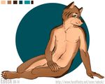  anthro canine edesk fur looking_at_viewer male mammal nipples nude penis pinup pose solo wolf 