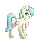  alpha_channel anus blue_eyes blue_hair butt clitoral_winking clitoris coco_pommel_(mlp) cutie_mark earth_pony equine female feral fluffy friendship_is_magic fur hair hi_res horse looking_at_viewer looking_back mammal my_little_pony nude plain_background pony presenting pussy solo standing strachinthesack teats transparent_background 