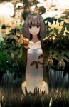  anry_(rmrnmrm) brown_hair dress grey_eyes jacket leaf original short_hair solo standing 