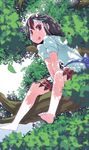  bad_id bad_pixiv_id barefoot black_hair blurry bow d@i dappled_sunlight depth_of_field dress highres horns in_tree kijin_seija leaf looking_at_viewer multicolored_hair red_eyes red_hair short_hair short_sleeves sitting sitting_in_tree smile solo streaked_hair sunlight tongue tongue_out touhou tree white_hair 